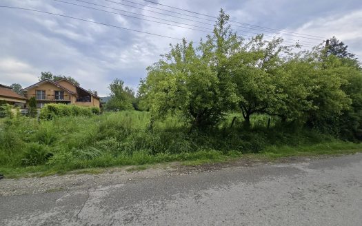 Teren Cernisoara strada principală