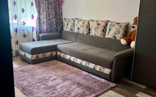 Apartament 2 camere | Ostroveni