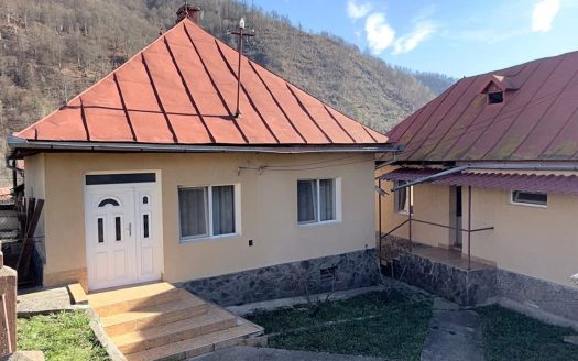 PROPRIETATE LA MUNTE | 2 CASE RENOVATE