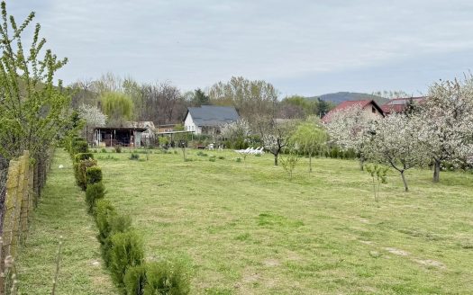 TEREN INTRAVILAN 1.845 MP | OSTROVENI