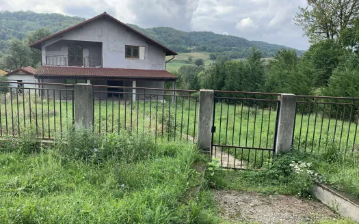 CASĂ + CONAC VÂNĂTORESC | 2.000 MP | ALUNU