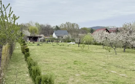 Teren intravilan 1.845 mp de vânzare în Ostroveni, ideal construcții