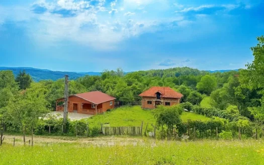Cabana nouă 2025 + Casă bătrânească pe 2.305 mp teren în Ciofrângeni Argeș