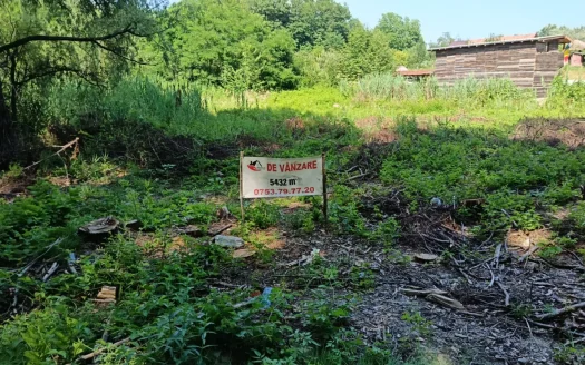 2 LOTURI ALĂTURATE | 5.432 MP | 13,5 €/MP | FEDELEȘOIU – DĂEȘTI.