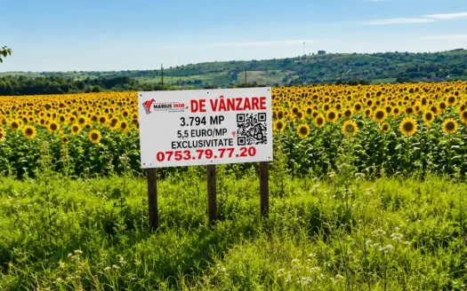 TEREN 3.794 MP | ZLĂTĂREI – DRĂGĂȘANI | 5,5 €/MP